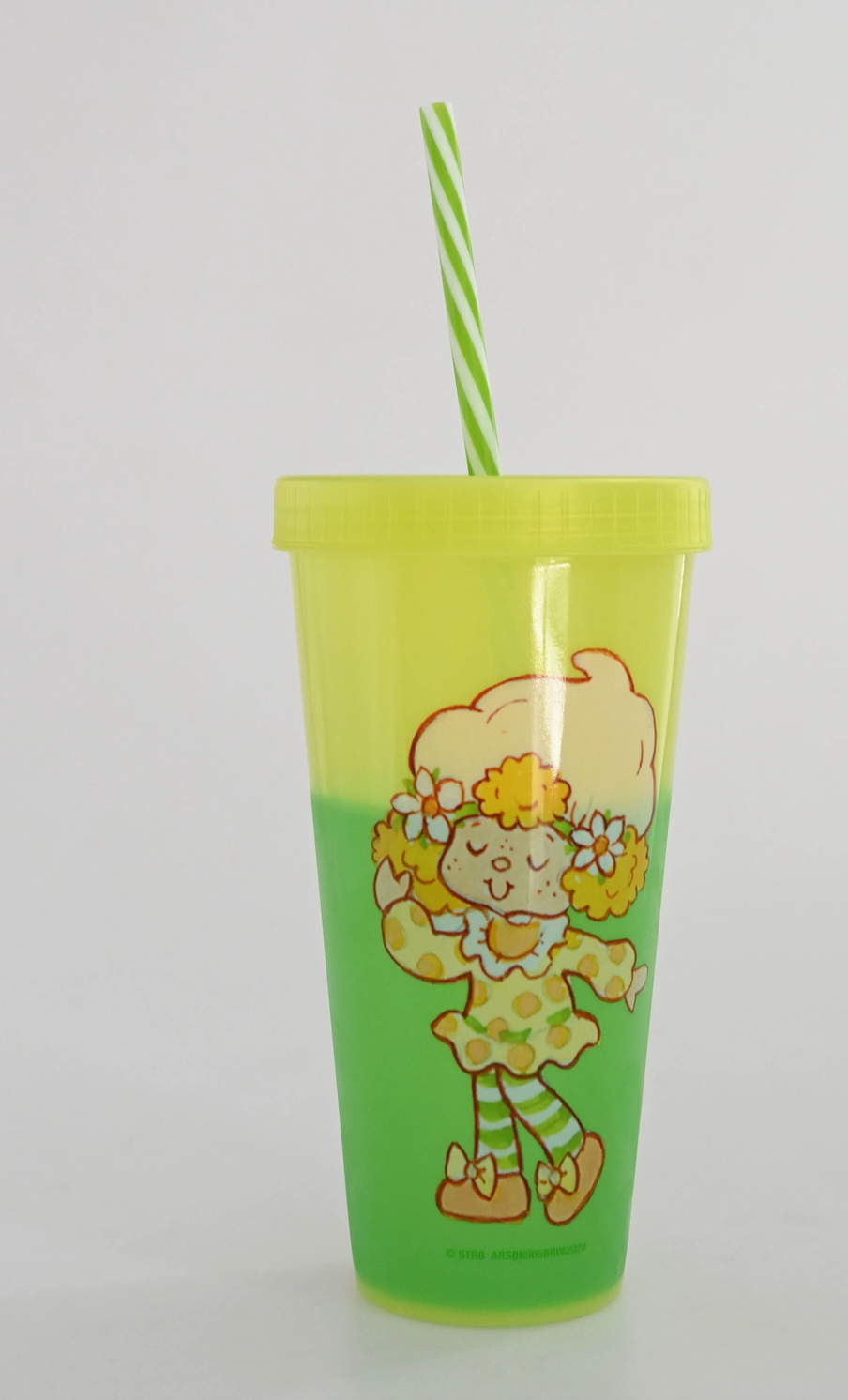 Strawberry Shortcake & Friends 24oz 4pk Color Change Tumbler Set